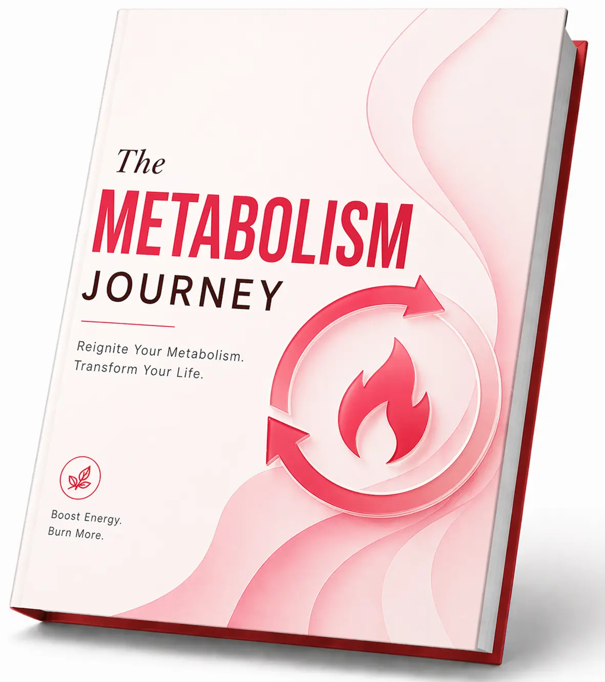 The Metabolism Journey digital guide